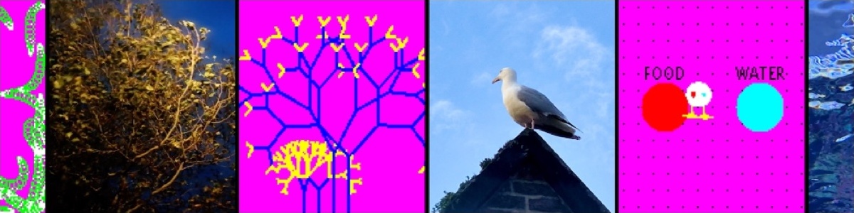 Genetic Moo: Interactive Art is the Best