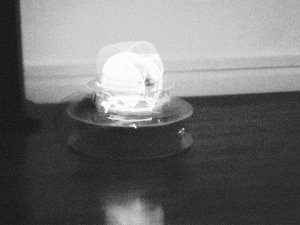 Anna Dumitriu - The Emergence of Consciousness 2