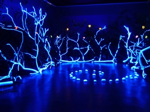 A Magical Forest That Reacts to your Presence - August 2011