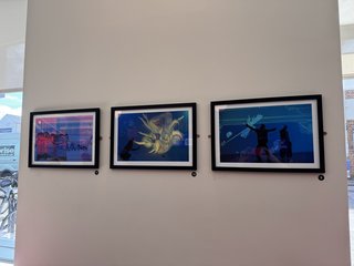 Leicester exhibition photograph 3, Phoenix, Leicester, 2026. Photo: Sean Clark