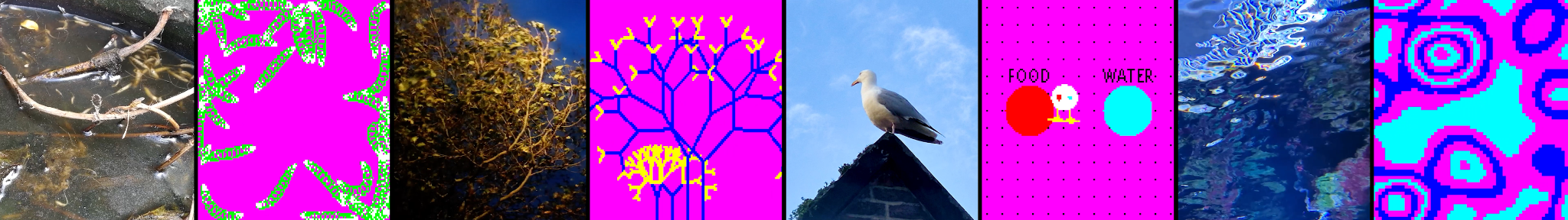 Genetic Moo — Computer Arts Society Talk